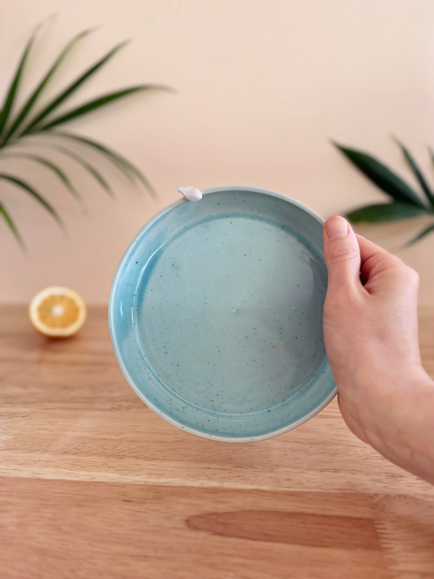 Robin Plate